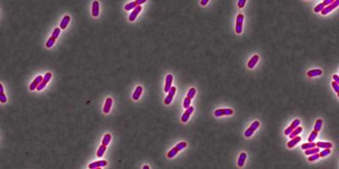 Common Antimicrobial Agent Reduces the Efficacy of Antibiotics