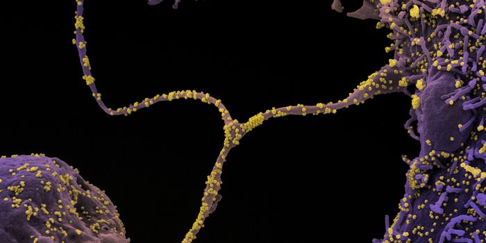 Host Vouchering & How Can It Improve Pandemic Response