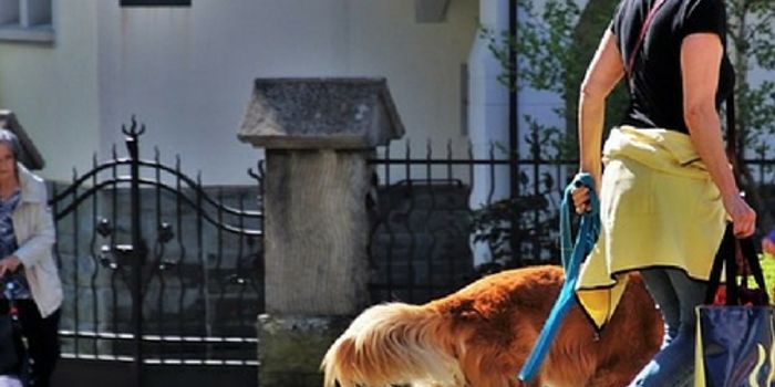 Older Adults Stick to Fitness Classes Grouped by Age