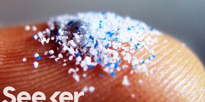 How Does It Taste? Want Some Salt (and Microplastics)?