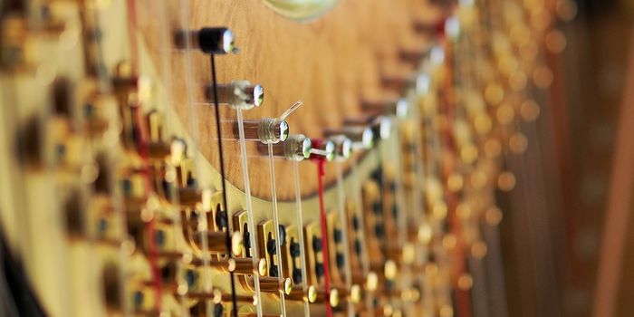 The musicality of chemical reactions