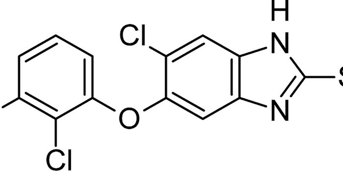 Nanocapsules Improve The Delivery of Antiparasitic Drugs