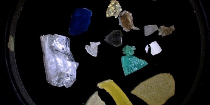 Researchers Determine Age Range of Upper Ocean Microplastics