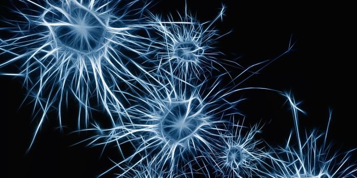 Researchers Discover the Brain Cells that Control Appetite