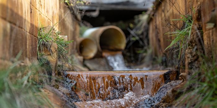 $8 Million Grant Awarded to West Virginia University for Rare Earth Element Extraction Facility