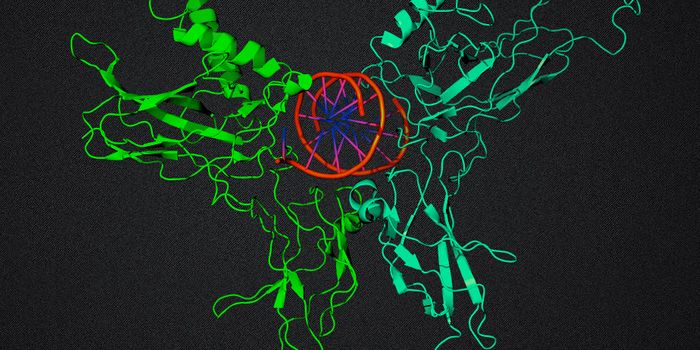 Decoy DNA Binding Sites Subtly Impact Gene Expression