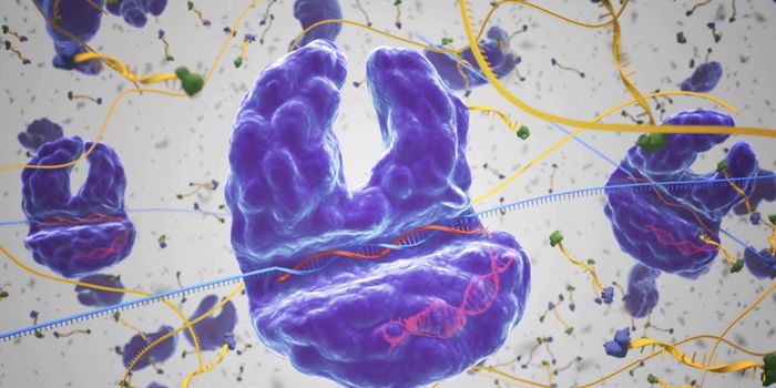 How Cas13 Works in Bacteria
