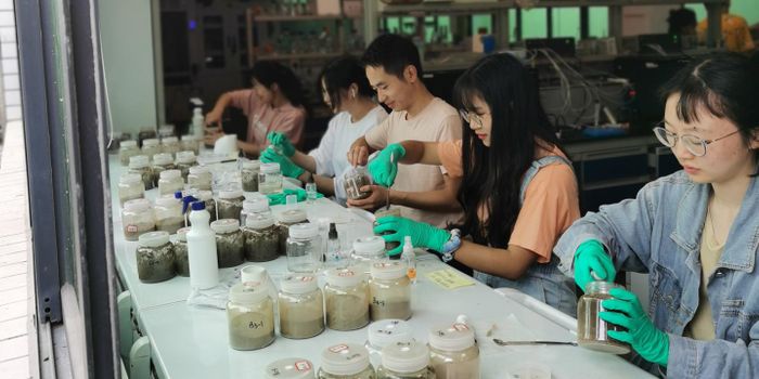 Weed Killers May Raise Levels of Antibiotic-Resistant Microbes in Soil