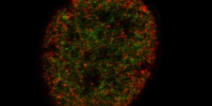 A Novel way to Determine Stem Cell Fate