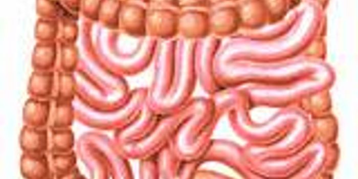 New Genetic Insights into How to Help Crohns Disease Patients