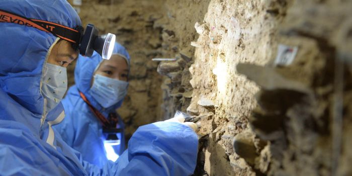 Denisovan DNA Recovered From the Tibetan Plateau