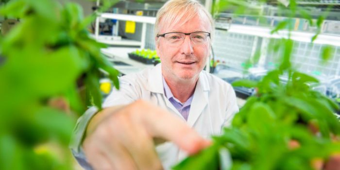 Hands Off! Plants Don't Like to be Touched