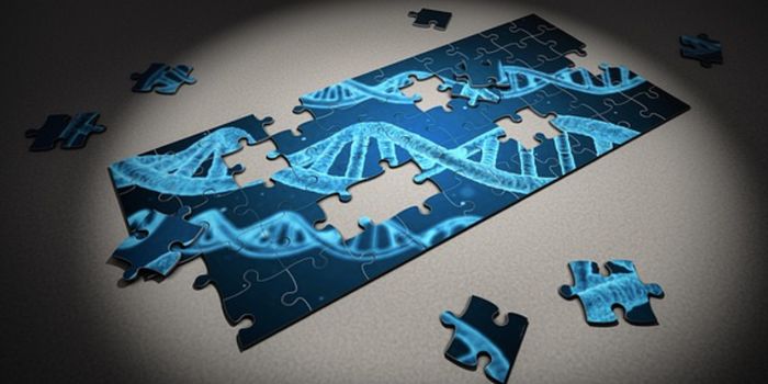 An Atlas of Regulatory Elements in the Genome of Different Cell Types