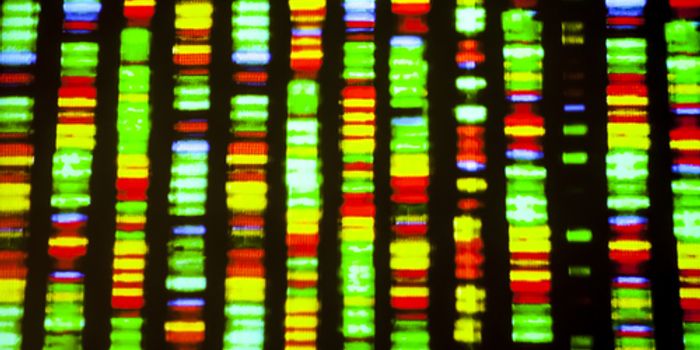 Mapping Repair of the Genome after Chemo