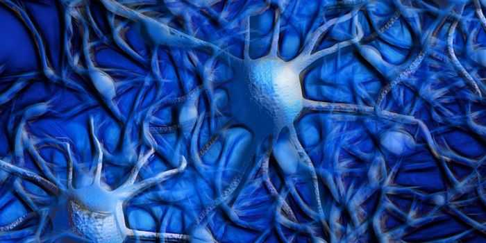 Connectomics - Understanding Neural Connections & Information Flow in the Brain