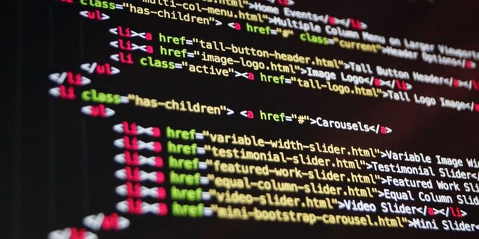 Coding and Language Use Different Parts of the Brain
