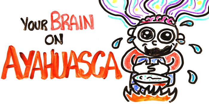 Your Brain On Ayahuasca: The Hallucinogenic Drug