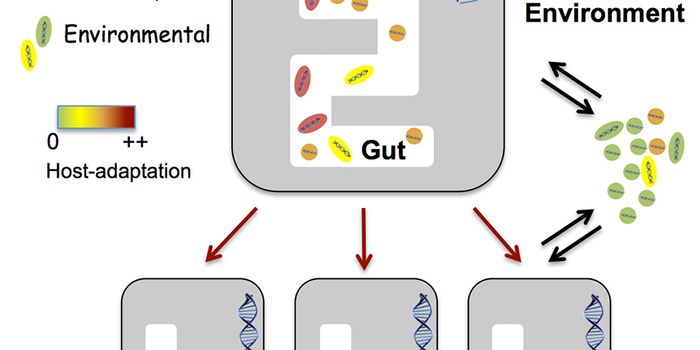 Can the Microbiome Influence Evolution?