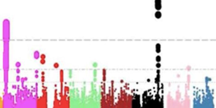 In Search of Genetic Risk Factors for AFib