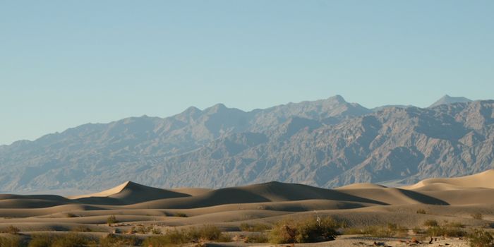 Underground Microbes Use an Ancient Form of Energy Production