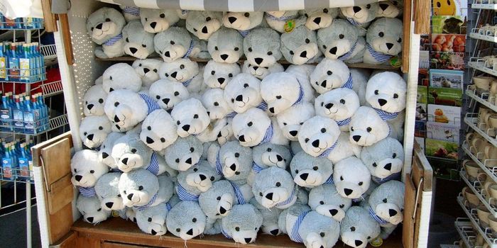 Stroking Cuddly Seal Robot Boosts Happiness, Reduces Pain