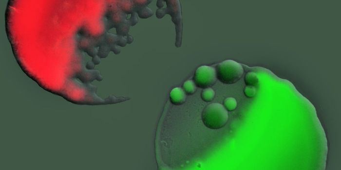 The Art of Bacterial War Focuses on Collective Retaliation