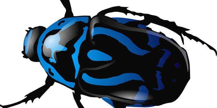 Researchers Make Headway on Insect-Sized Jumping Robots