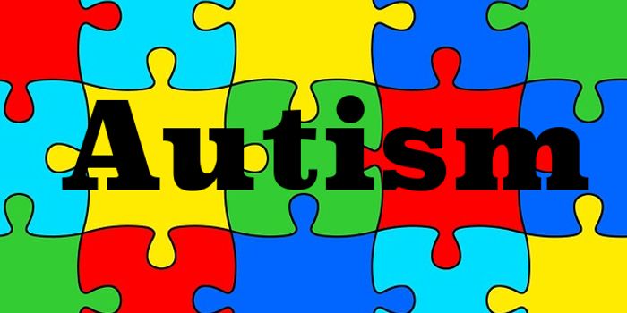 Might Autism Be More Than Just a Brain Disease?