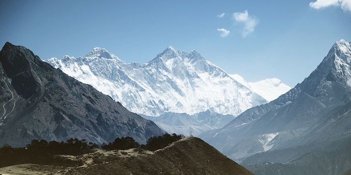 Are the Himalayan glaciers endangered?