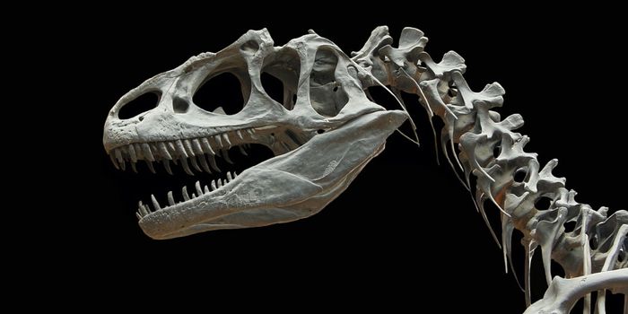 Study Reaffirms That An Asteroid Killed the Dinosaurs, Not Volcanoes