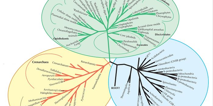 How Listeria monocytogenes has Evolved to Persist in Foods and Cause Outbreaks