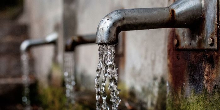 How a Microparasite Can Improve Wastewater Treatment