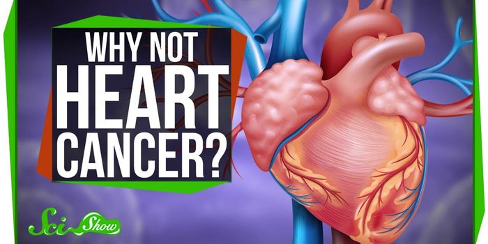 Heart Cancer: Is There Such a Thing?