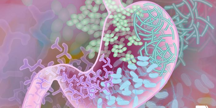 GutHeart Links Microbes and Heart Failure