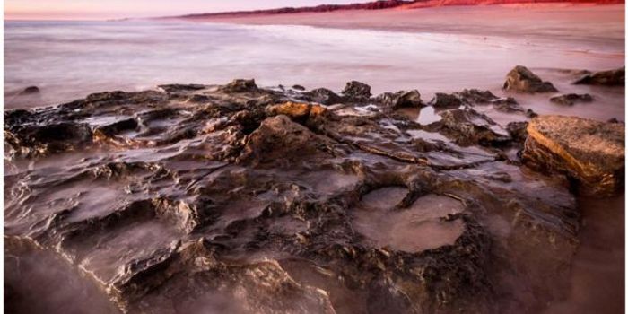 Scientists Reveal 'Jurassic Park'-Like Past of Western Australia