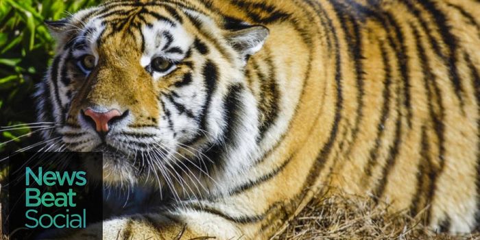 Saying Goodbye To Mike