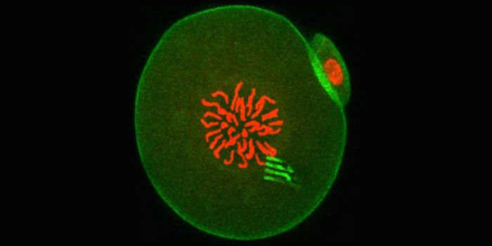 Using Nanomachines to Track the Physics of a Cell's Trajectory