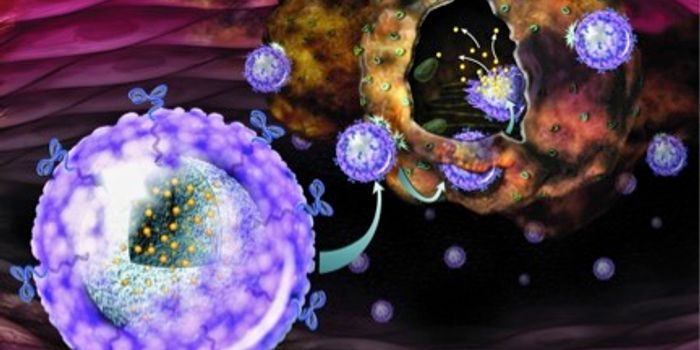 Dual-Action Nanoparticles Report Cancer Cell Death in Real Time