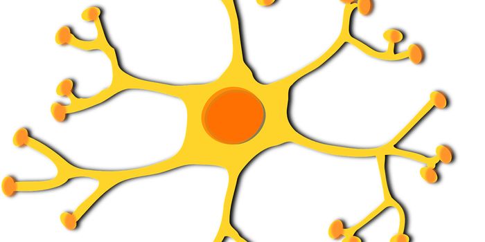 Giant Axonal Neuropathy: Promising Advances in Gene Therapy