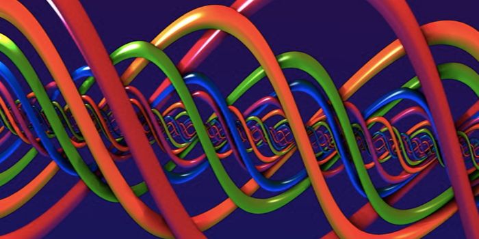 The Inactive X is Shown to be Active Behind the Scenes