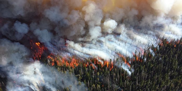 Mapping wildfires with neural networks