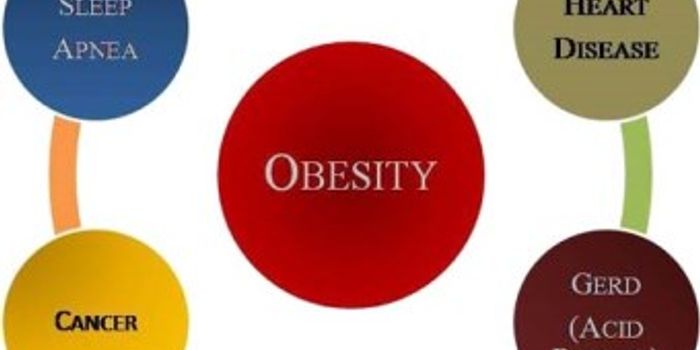 Health problems my not be caused by weight gain alone