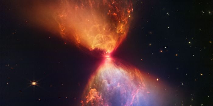 JWST Images a Star in the Midst of Formation