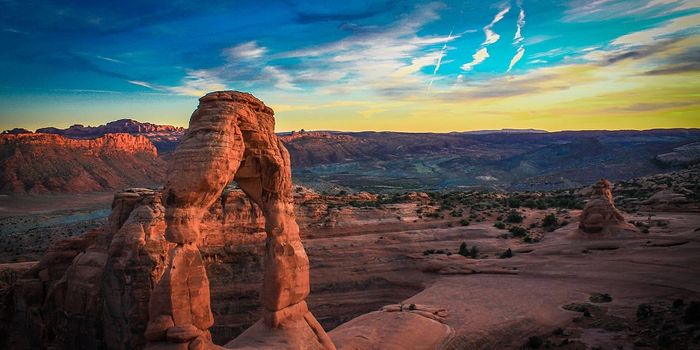 What the heck are biocrusts and why are they so important?