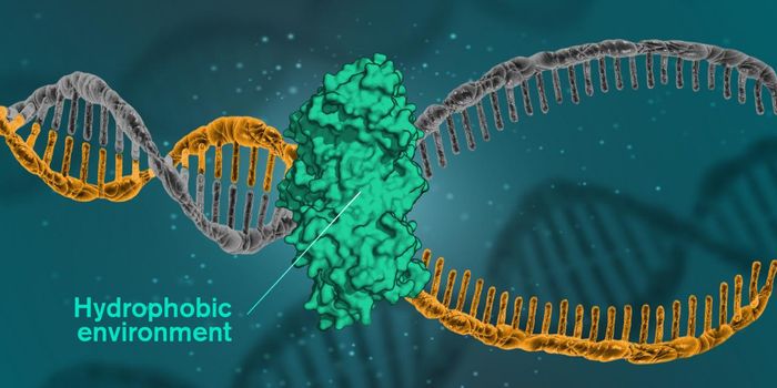 A New Theory About the Structure of DNA