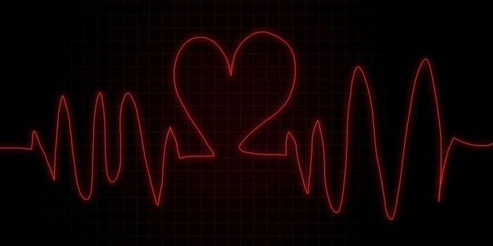 Heart Organoids with a Contracting Chamber are Created