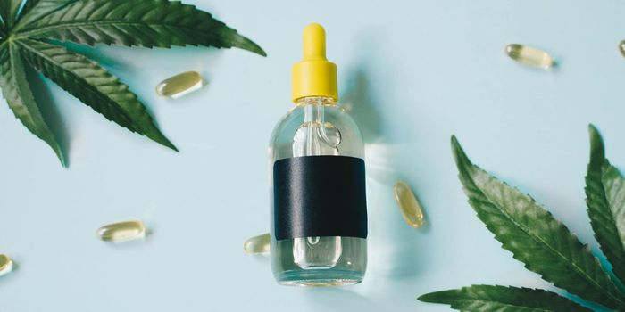 Case Report: Cannabis Oil Treats Common Skin Disease in Dog