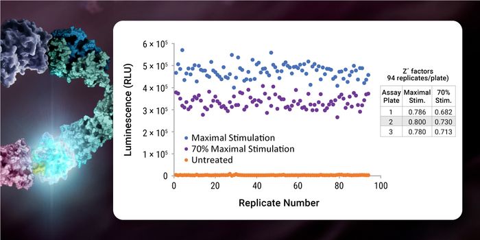 High-Throughput Immunoassays: Accelerating Drug Discovery and Enhancing Compound Screening Efficiency