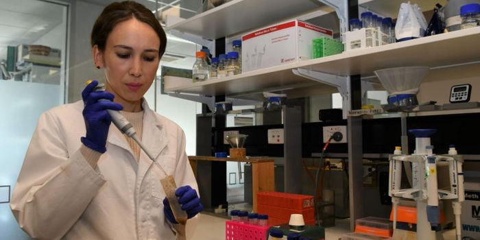 Parasitic Worm Capable of Infecting People Now Found in Dogs