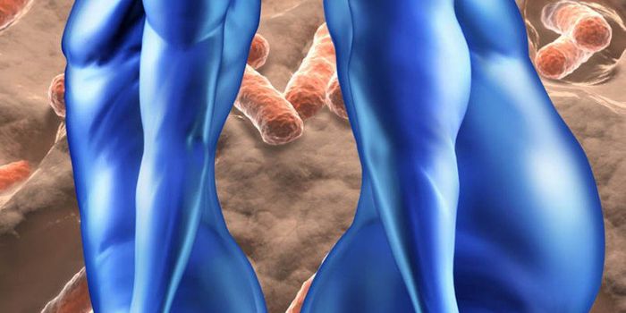 Too close for comfort - gut microbes and metabolic disease